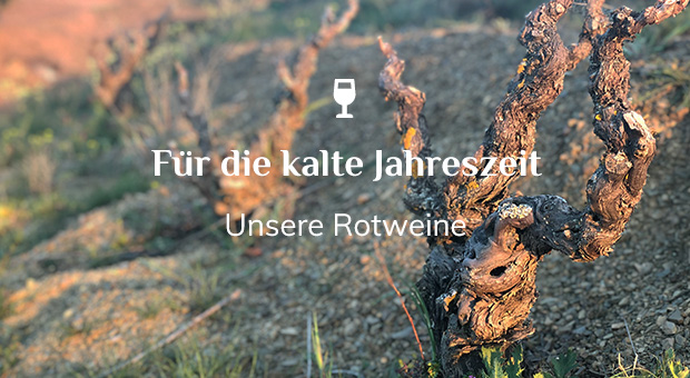 Auswahl an spanischen Rotweinen für die kalte Jahreszeit